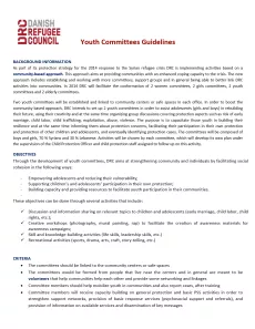 The first page shows the title "Youth committees guidelines" in brown with DRC logo on the top left corner, followed by the text of the guidelines.